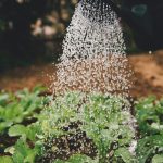 Climate Resilience