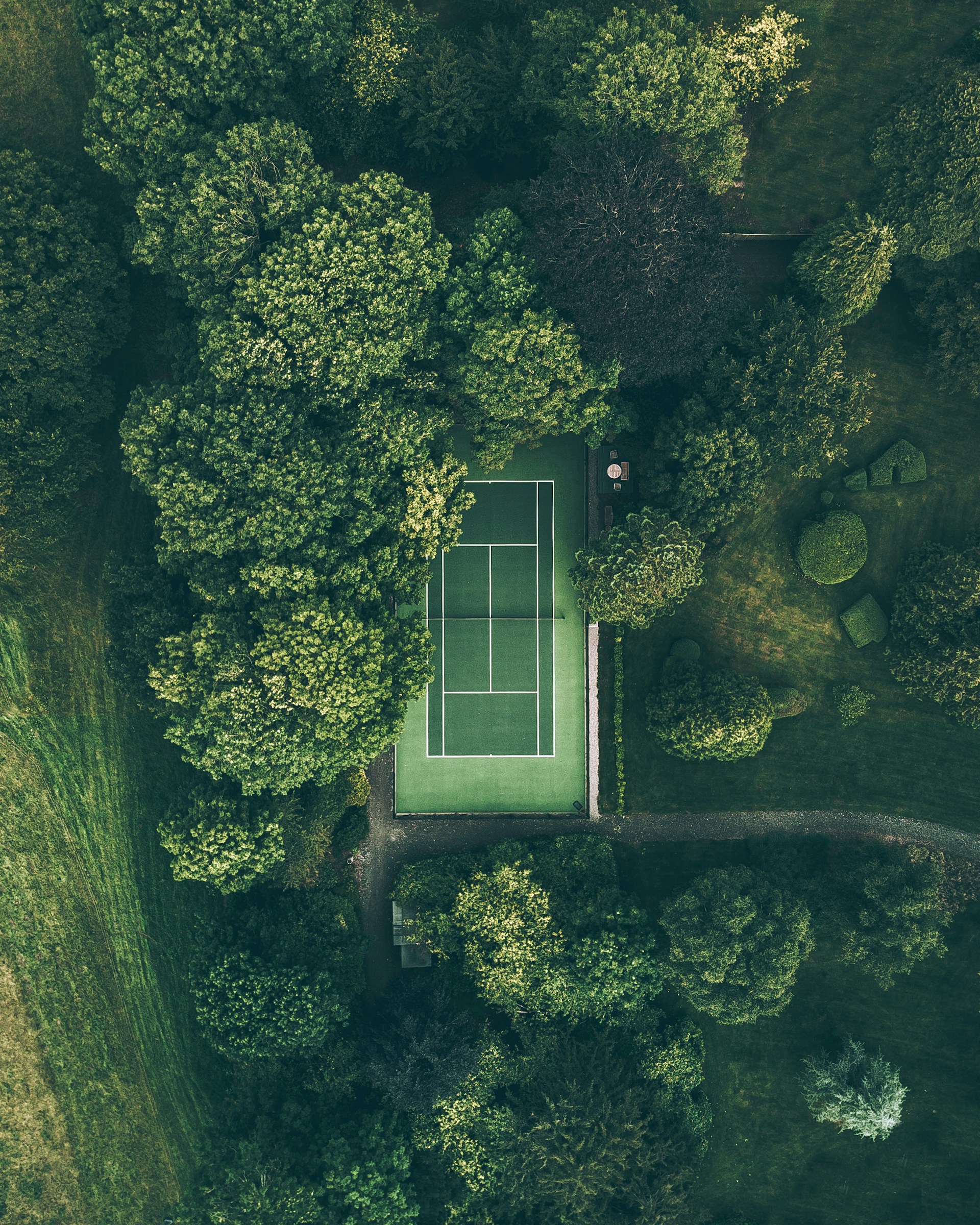 a tennis court in a tropical setting in Tobago