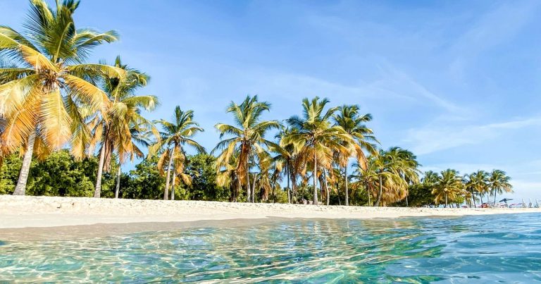 Caribbean coastline representing the Caribbean as a potential Blue Zone